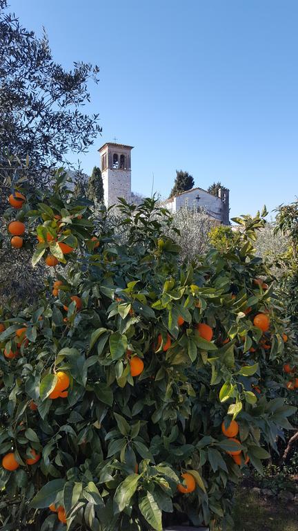 Casolare Al Dopolavoro Vila Lucca Exterior foto